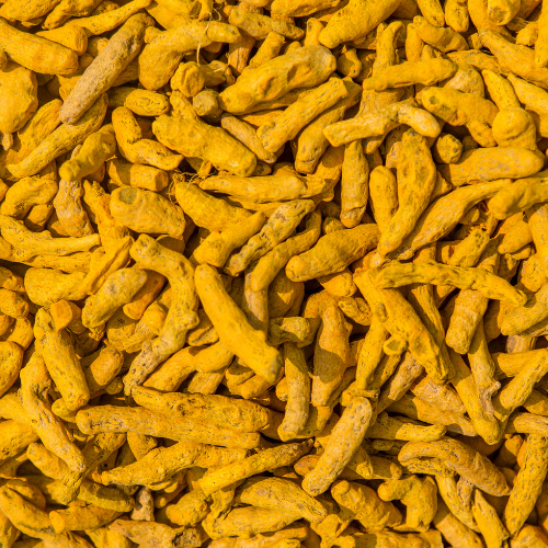 Turmeric Finger